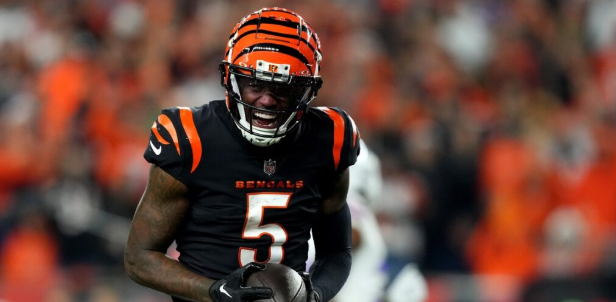 Tee Higgins fantasy