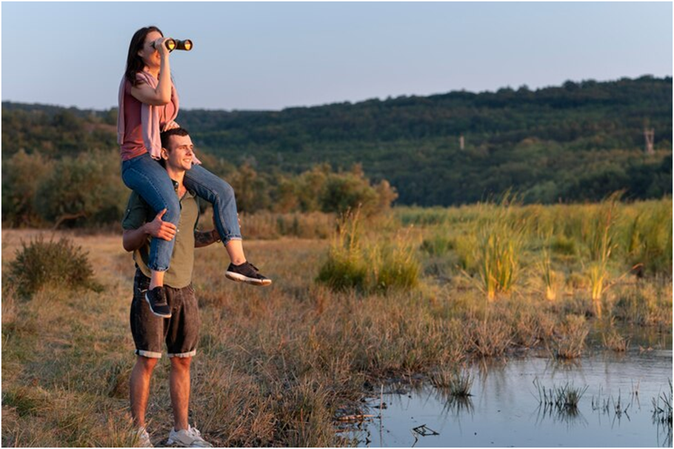 Best Documentaries of All Time About Nature and Wildlife