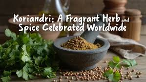 koriandri