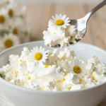 Daisy Cottage Cheese